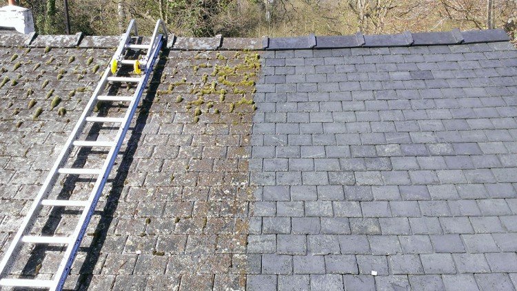 Moss Killer Ireland - Treatment on roof - Before and After